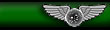 Colonel