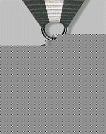 Distinguished Service Cross