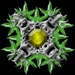 Lyran Silver Eye